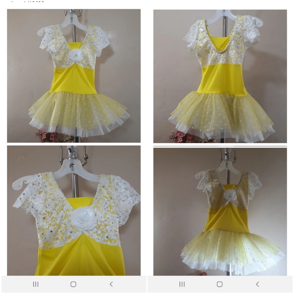 Professional Ballet Layered Tutu Costume